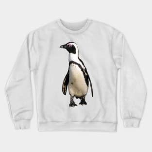 African Penguin Boulders Beach, Cape Town, South Africa Crewneck Sweatshirt